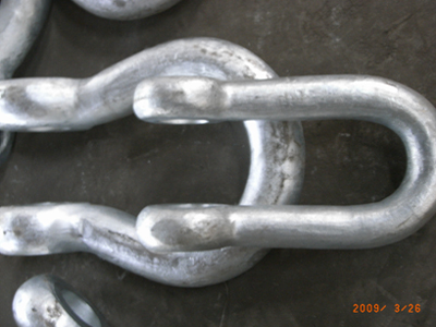 Marine Shackle
